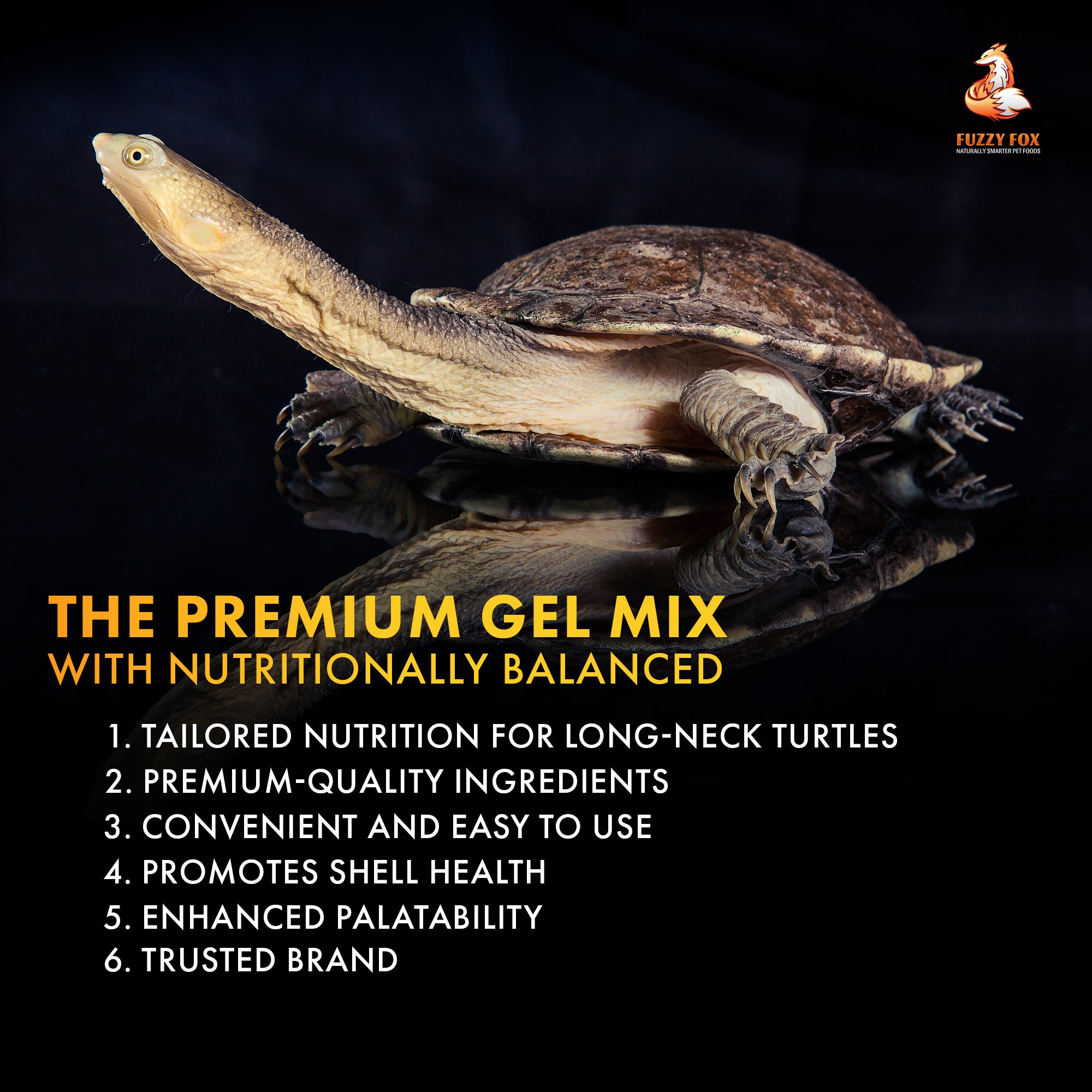 Long Neck Turtle Gel PreMix 65g Food for Long Neck Turtles Fuzzy